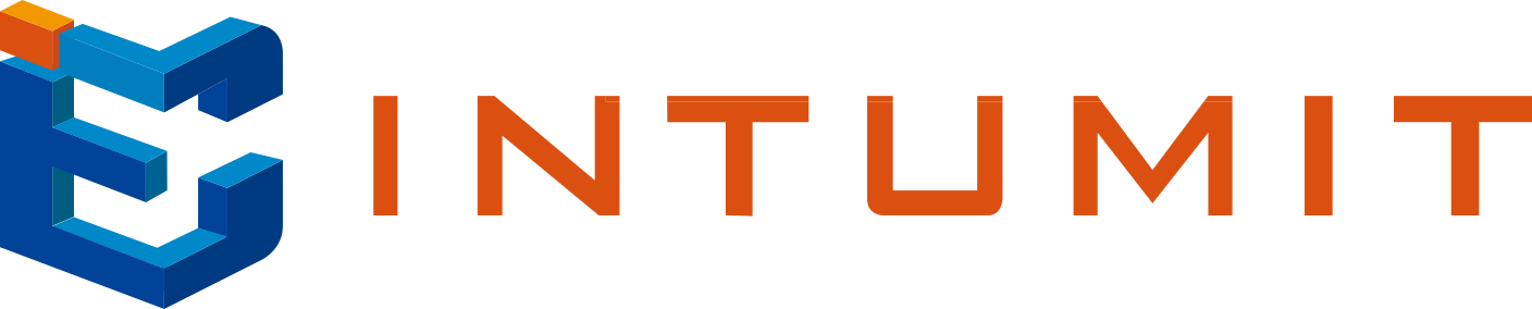 碩網資訊股份有限公司 Logo