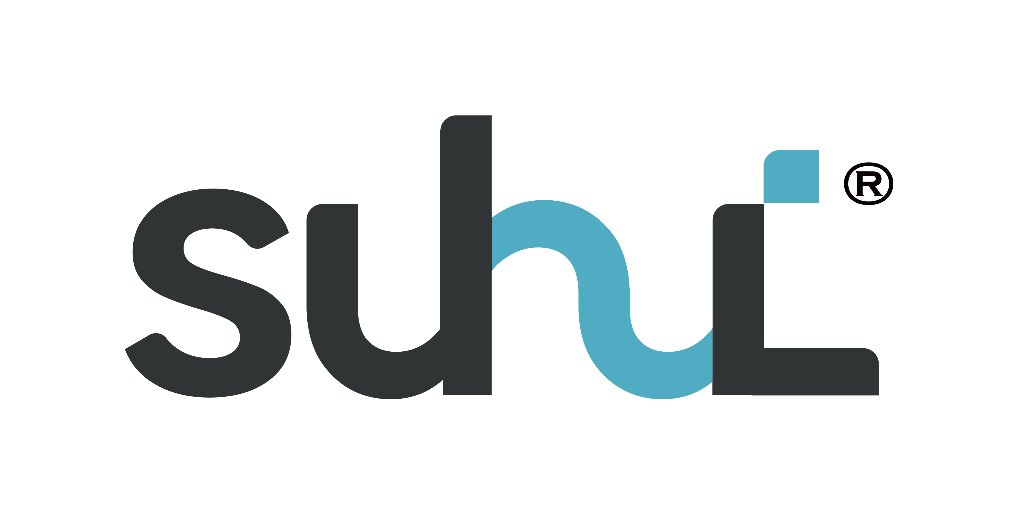 數匯智控股份有限公司 Logo